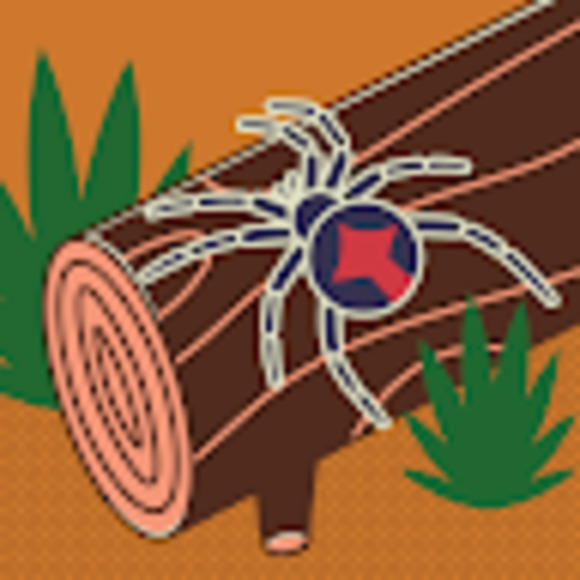 Meet your Posher, Jeremiah - Picture 1 of 1